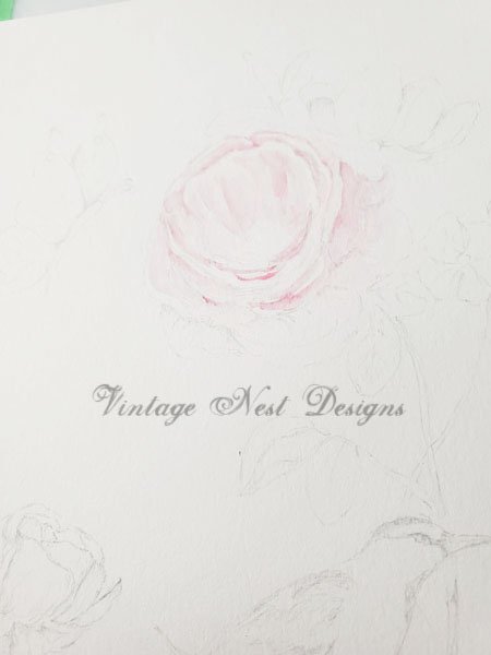 Bird Nest Roses No.5:1 Digital Prints Watercolor Painting image 5