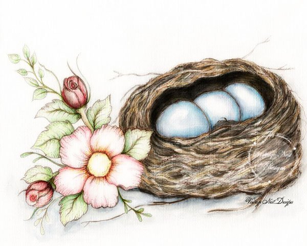 Bird Nest Roses No.2 Digital Prints Watercolor Painting image 0
