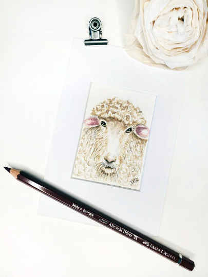 Sheep No.1 Original Watercolor Painting image 1