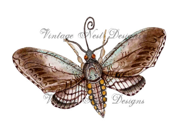 Digital Print Moth No.1 Watercolor Painting Instant Download