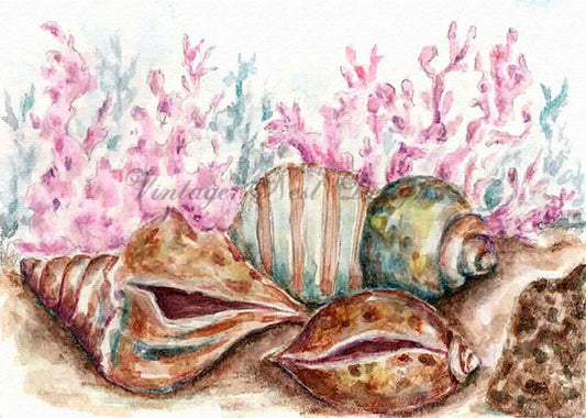 Digitaldruck Muscheln Nr.1 ACEO Aquarellmalerei Sofort-Download