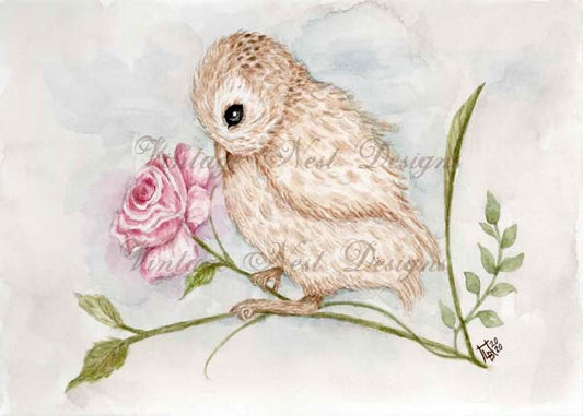 Digital Print Sweet Baby Owl No.1 Watercolor Painting Instant Download