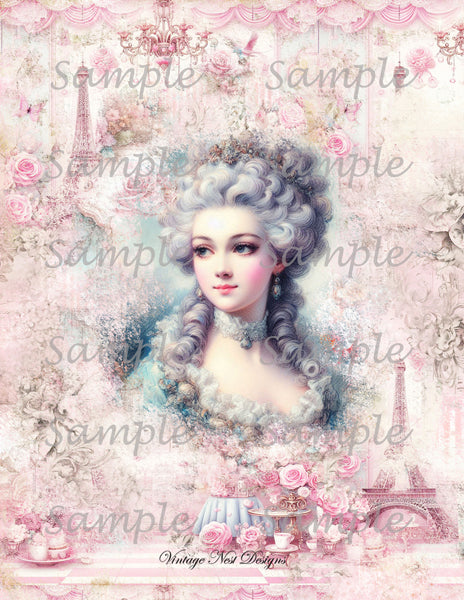 Papiers peints roses victoriennes n°5 Illustration numérique Scrapbooking