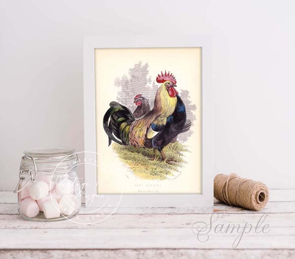 Rooster No.2:4 Dollhouse Miniature Handmade Wooden Framed Art image 3