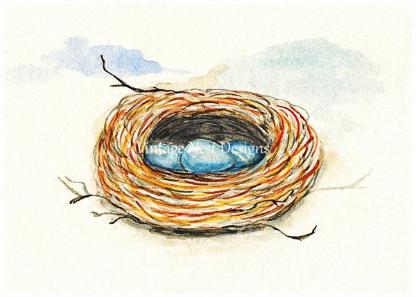 Bird Nest Blue Eggs No.1 Digital Prints Watercolor Painting image 0