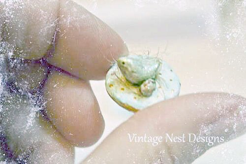 Bird Nest Bowl No.1 Handmade Miniature image 1