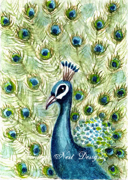 Peacock No.2 ACEO Digital Print Watercolor Painting